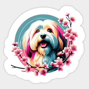 Joyful Havanese Encircled by Spring Cherry Blossoms Sticker